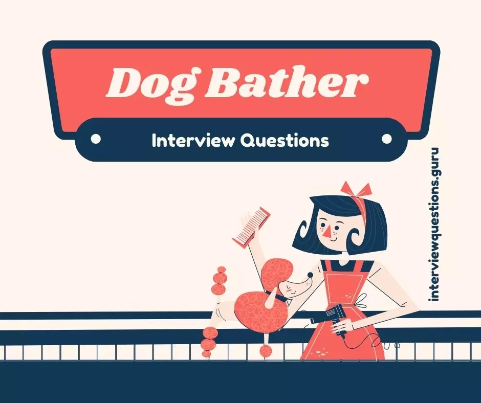 Dog Bather Interview Questions