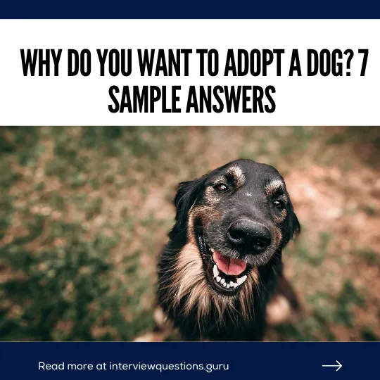 Why Do You Want to Adopt a Dog? Answers